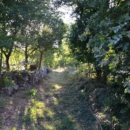 Villa Olivetta By Istrian Country Barat (Porec)
