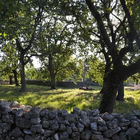 Villa Olivetta By Istrian Country Barat (Porec)