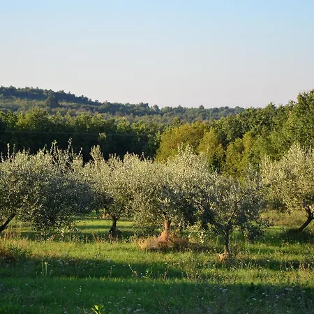 Villa Olivetta By Istrian Country *