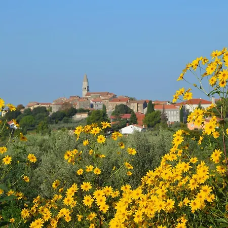 Olivetta By Istrian Country *