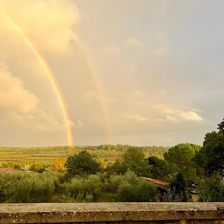 Olivetta By Istrian Country Villa