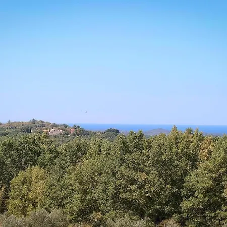 Olivetta By Istrian Country Willa Barat (Porec)